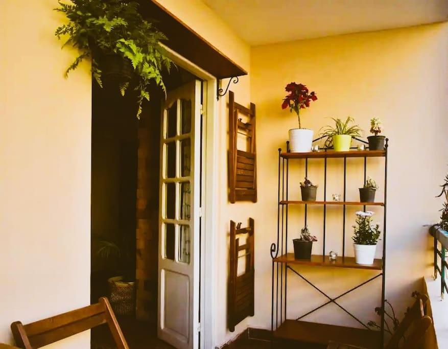 Maadi Your New Escape Apartment Cairo